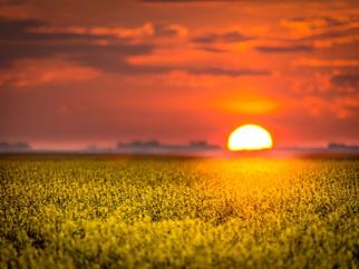 Infectious Disease image