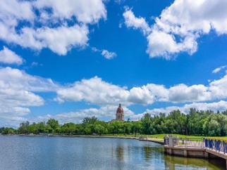 Perinatal health image